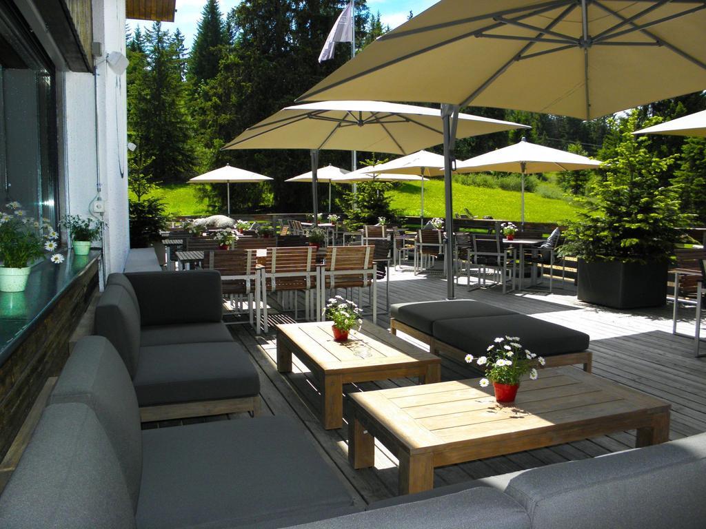 Saanewald Lodge 萨内莫塞尔 外观 照片